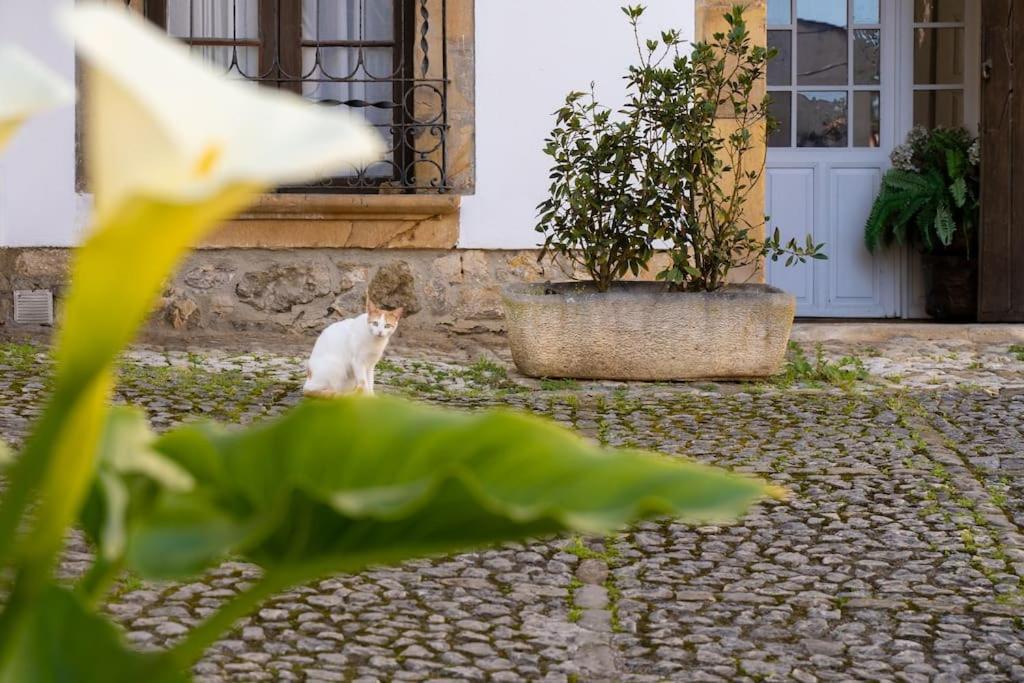 Villa Mima'S House - La Casa De Mima Comillas Exterior foto